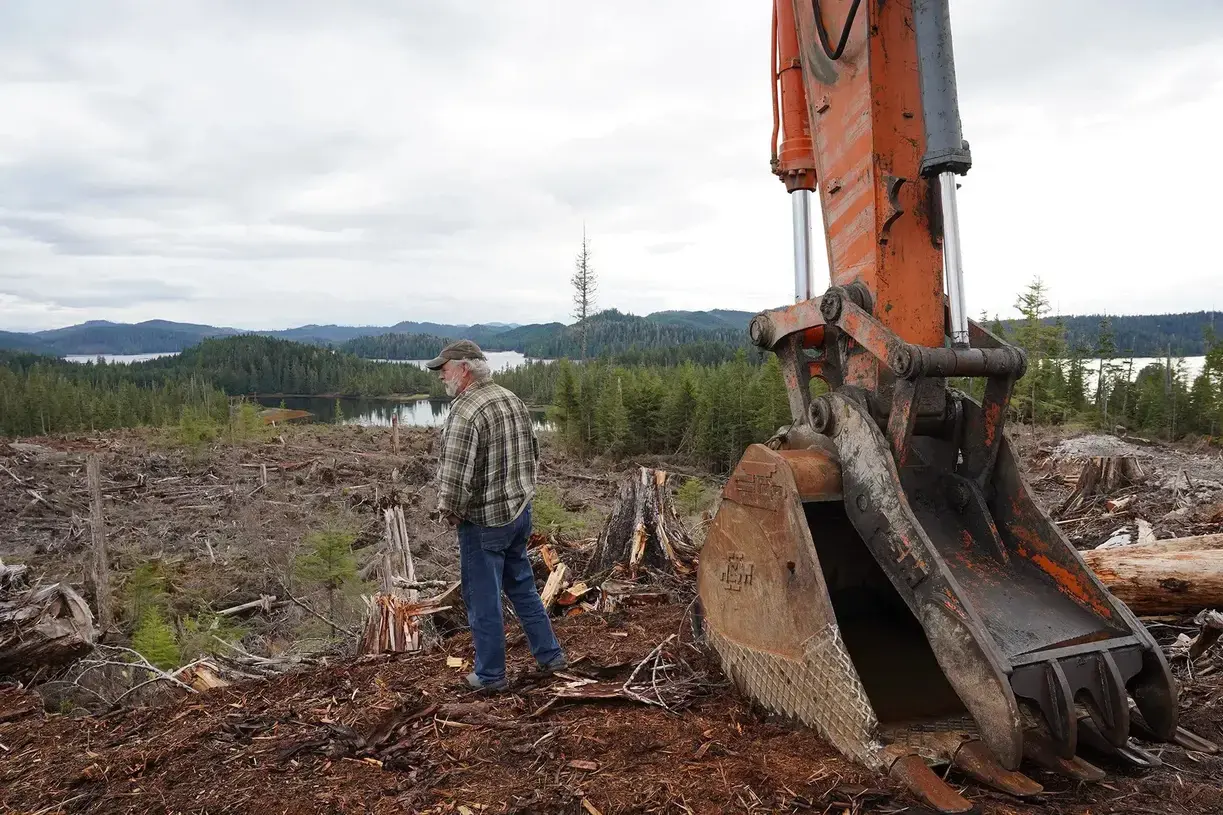 Road to Ruin: logging loopholes in the Tongass National Forest